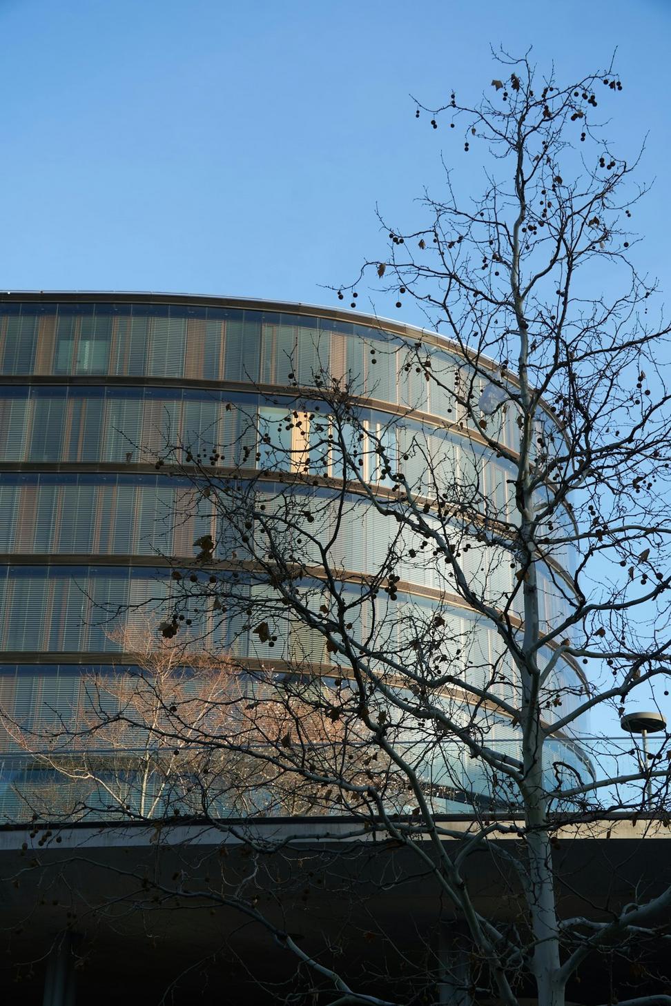 ChronoVex Quest Office