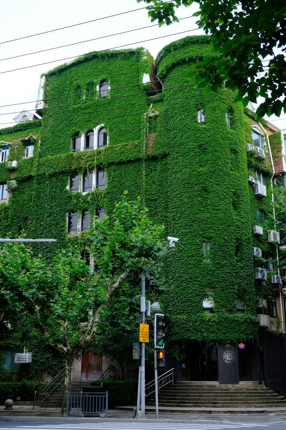 Living Wall Innovation Center